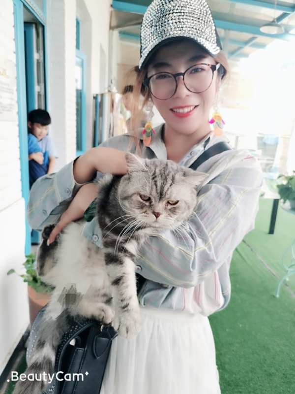 小黑猫的第一张照片--淄博相亲服务中心