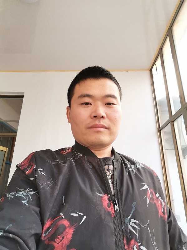 会飞的猪的第一张照片--淄博相亲服务中心