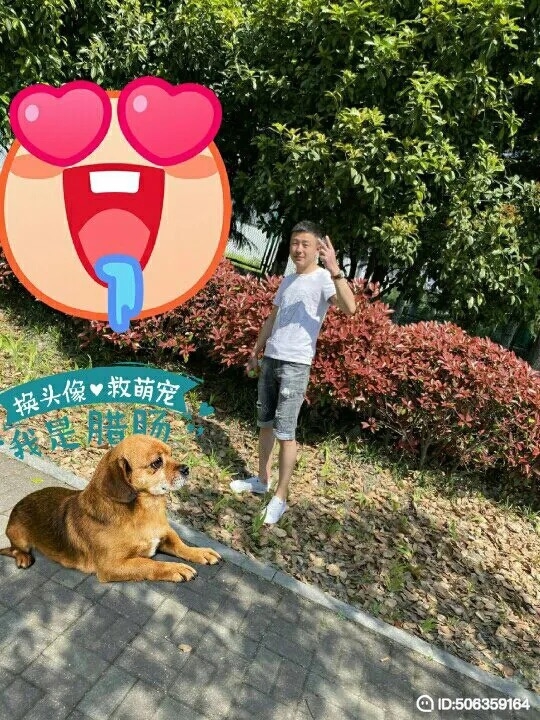 我若不坚强谁替我勇敢的第一张照片--淄博相亲服务中心