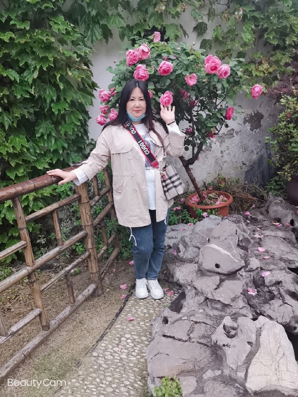乖乖一女的第三张照片--淄博相亲服务中心