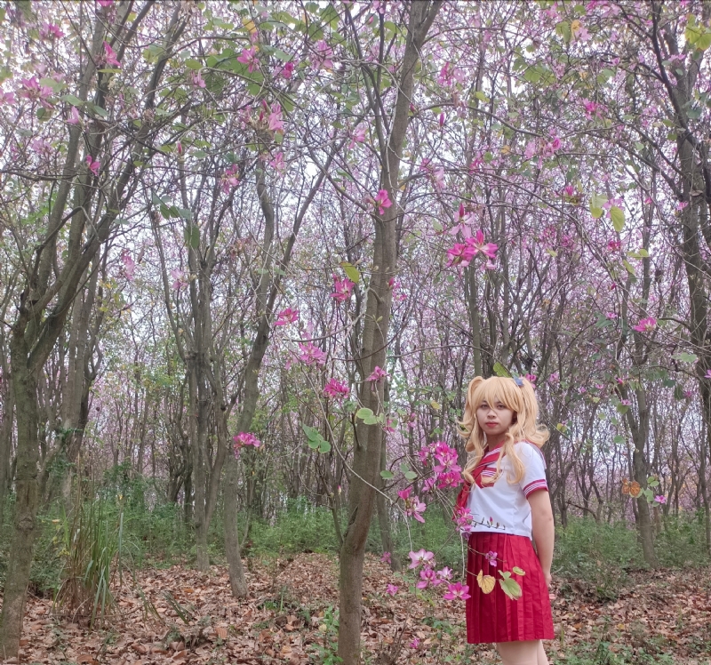 暮秋的第四张照片--淄博相亲服务中心